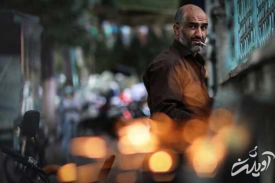 پژمان جمشیدی پژمان جمشیدی